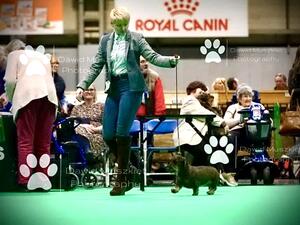 On the run! Diva Crufts 2022