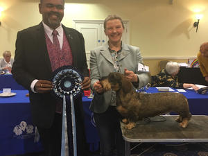 Dachshund of the Year - Special Beginner- 2019