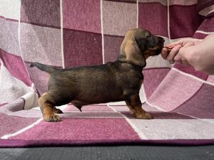 Posing!