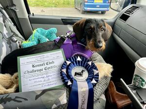 Bramalodge Baby I'm Your's and our first ever CC!!