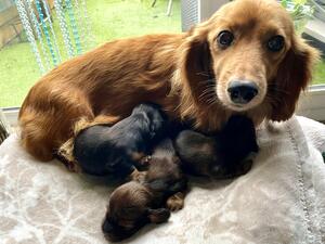 Solar is a wonderful mum, a friendly personality