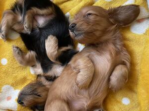 Snuggle time