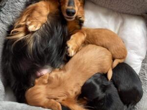 Mummy cuddles