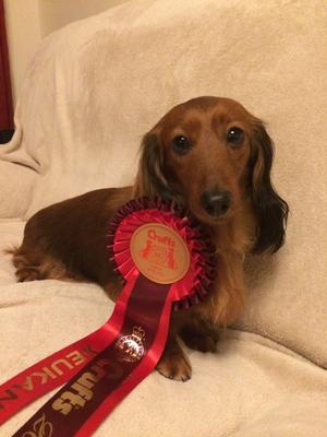 first at crufts 2018