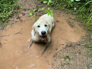 A mud bath for her complexion