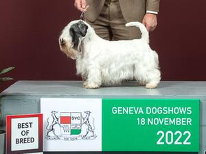 Geneva I - BOB