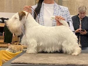 Agria Winner Show
