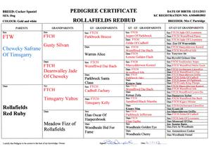 Pedigree
