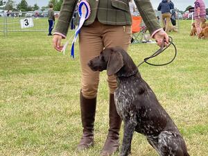 Best Puppy in Breed BPB ‘21 Cheshire County Show