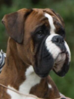 Lovely head shot , wide mouth ,