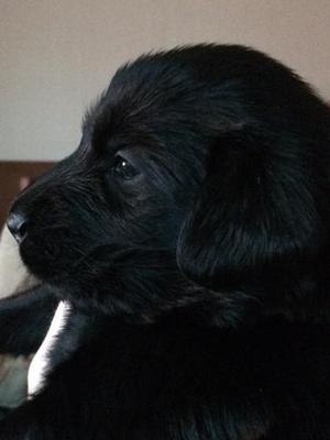 3 and a half weeks old