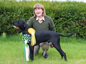 Indus qualifies for Crufts 2019