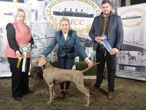 Queen’s Island Canine Club