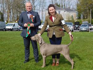 Mid West All Breed Champ Show 2019