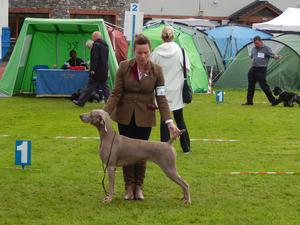 Tralee All Breed Ch Show 2016