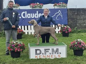 Sligo Int'l Champ Show