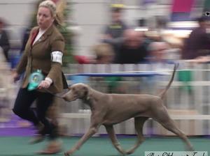 IKC International Day 1