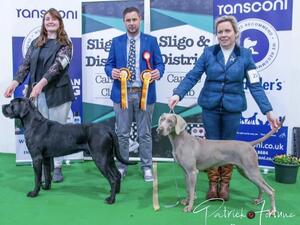 Sligo and District Canine Club All Breed