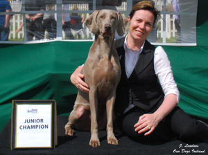 Quick Silver Hugel - Junior Champion @ 13 months