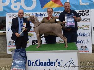 Coleraine Championship Show
