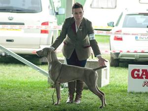 IKC Int'l Championship Show Day 2