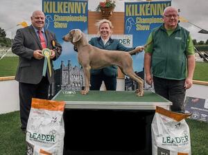 Kilkenny Championship Show