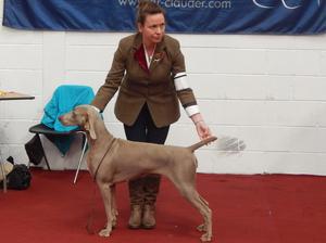 Cloghran All Breed Ch Show 2016