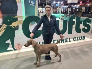Crufts 2023