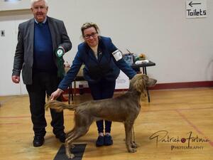 Midland Counties Canine Society