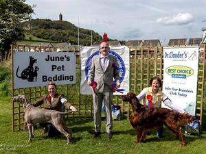 Newtownards Open Show