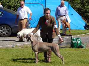 Swords International Championship Show