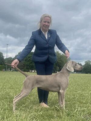 Windsor Champ Show 2023