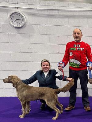 Combined Canine Xmas Open Show 2023