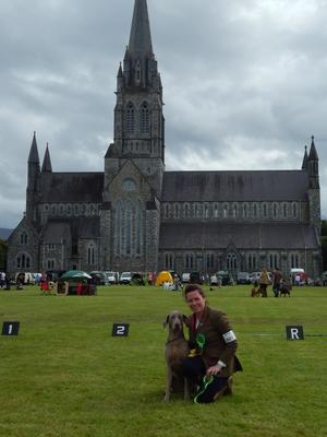 Killarney All Breed Ch Show 2016