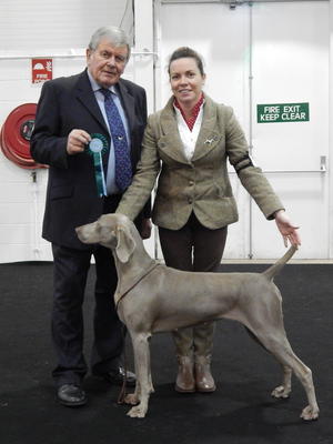 Cloghran All Breed Ch Show