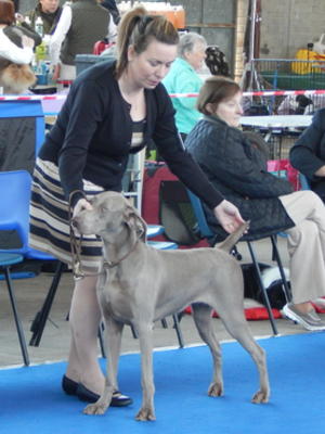 Banbridge All Breed April 2015