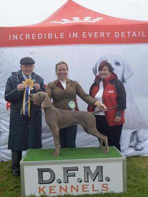 Reserve Best Baby Puppy in Show