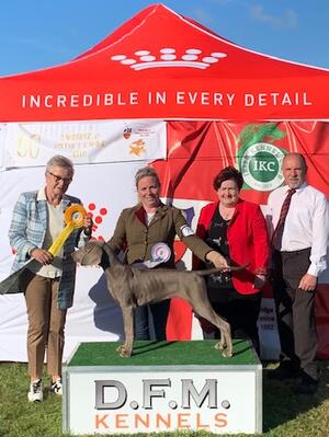 3rd Best baby Puppy in Show