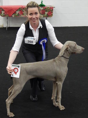 Combined Canine Dec 2014