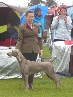 Ladies Kennel All Breed Championship 2016