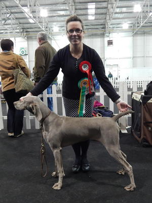 Bulldog All Breed Jan 2015