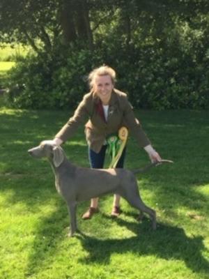 Portadown Champ Show 2019