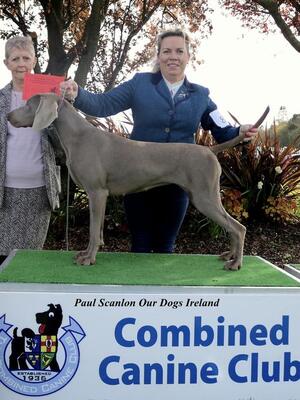 Combined Canine Easter Classic International