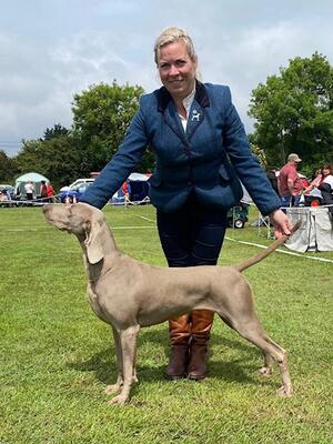 Swords & District Canine Society