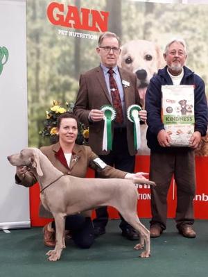 IKC International Day 2 2018