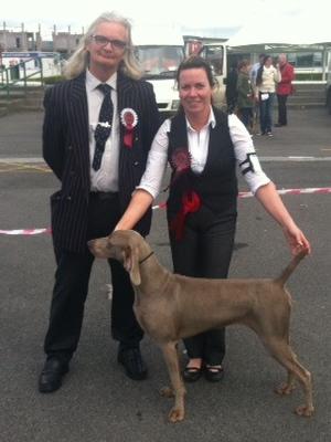 Best of Breed - Corrib