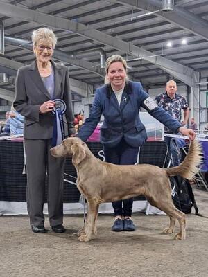 Best Longhair in Show