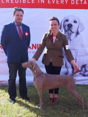 Banbridge Championship Show 2018