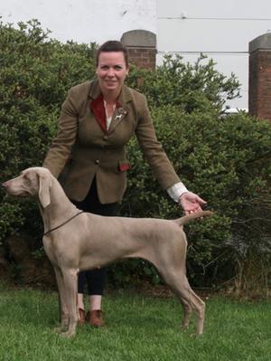 Dun Laoghaire All Breed Championship Show