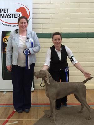 Mid West All Breed April 2015